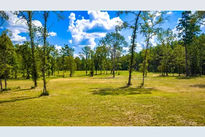 1236 Spencer 1 Road, Groveton, TX 75845 - Photo 3