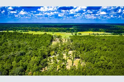 1236 Spencer 1 Road, Groveton, TX 75845 - Photo 19