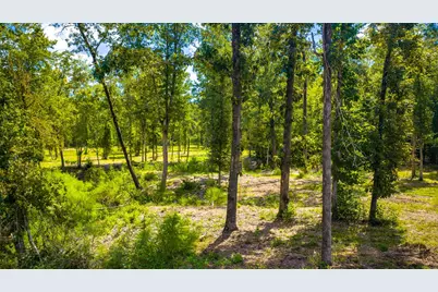 1236 Spencer 1 Road, Groveton, TX 75845 - Photo 11