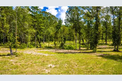 1236 Spencer 1 Road, Groveton, TX 75845 - Photo 13