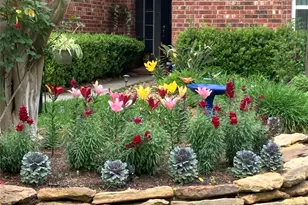 74 Blackstar Pl, The Woodlands, TX 77382 - Photo 47