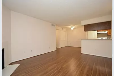 2120 El Paseo Street #2311, Houston, TX 77054 - Photo 9