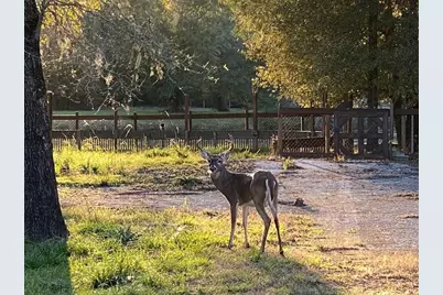 201 Cypress Lakes Circle, Cleveland, TX 77327 - Photo 19