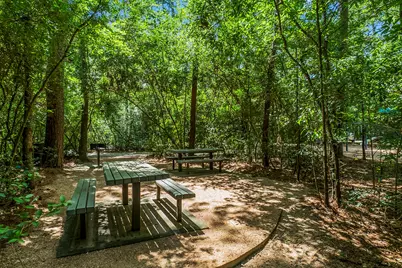 263 Bristol Bend Circle, The Woodlands, TX 77382 - Photo 49