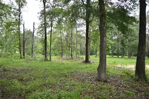 183 Road 3817, Cleveland, TX 77328 - Photo 7
