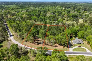 000 Harrell Cemetery Rd, Coldspring, TX 77331 - Photo 1