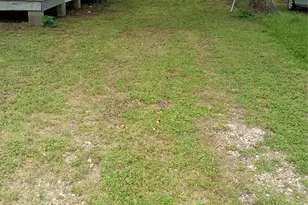 7335 Phillips St, Houston, TX 77088 - Photo 17