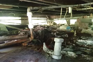 7335 Phillips St, Houston, TX 77088 - Photo 25