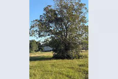 000 N Tutte and 2nd St Street, Rock Island, TX 77470 - Photo 5