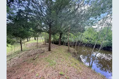 0 County Road 133, Alvin, TX 77511 - Photo 7