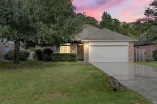 28910 Hidden Lake Ct, Magnolia, TX 77354 - Photo 1