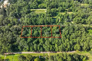 0 0 Dora Ln Ln, Shepherd, TX 77371 - Photo 1