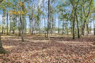 15738 W Relza Dr, Splendora, TX 77372 - Photo 29