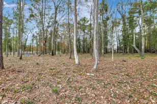 15738 W Relza Dr, Splendora, TX 77372 - Photo 27