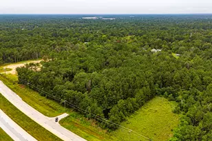 Tbd Hwy 242, Conroe, TX 77302 - Photo 7