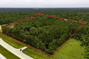 Tbd Hwy 242, Conroe, TX 77302 - Photo 1