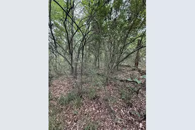 28624 Shawnee Ct, Point Blank, TX 77364 - Photo 9