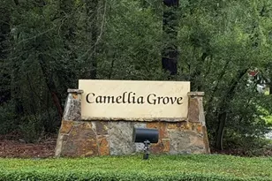 122 N N Camelia Grove Circle, The Woodlands, TX 77382 - Photo 1