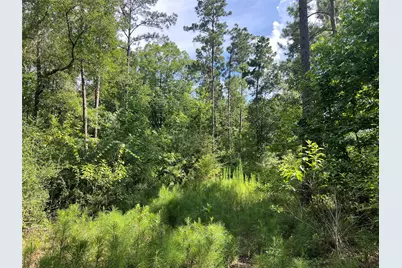 Lot 25 Rolling Pines Drive, Livingston, TX 77351 - Photo 5