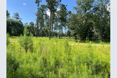 Lot 25 Rolling Pines Drive, Livingston, TX 77351 - Photo 3