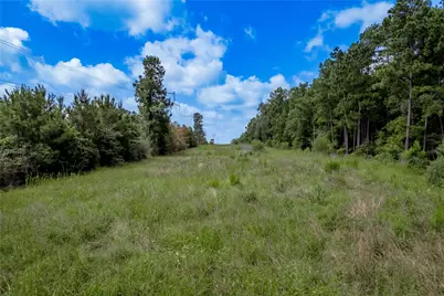 594 County Road 3540, Lovelady, TX 75851 - Photo 31