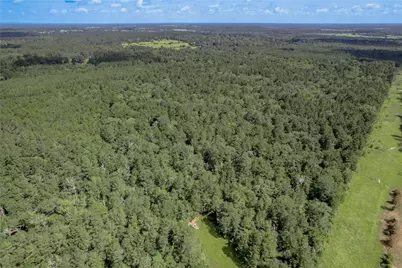 594 County Road 3540, Lovelady, TX 75851 - Photo 41