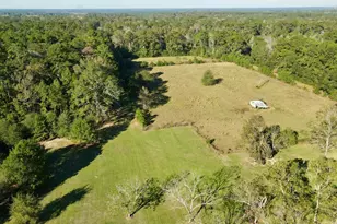 585 County Rd 3796, Cleveland, TX 77328 - Photo 19