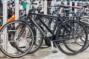 1201 River St, Boston, MA 02136 - Photo 5