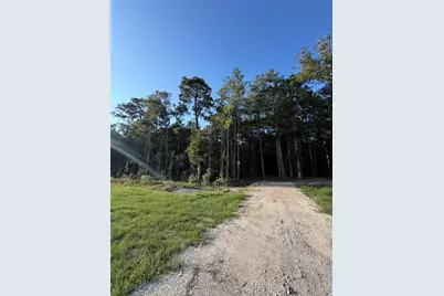 18361 Bunsen Drive, Conroe, TX 77301 - Photo 11
