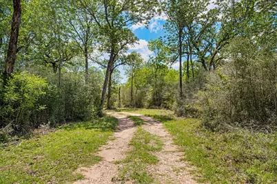2516 Klimek Road, Fayetteville, TX 78940 - Photo 5