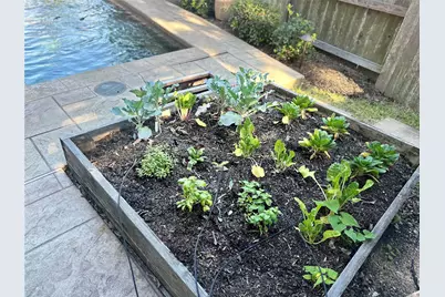 8543 Evening Light Drive, Sugar Land, TX 77479 - Photo 35