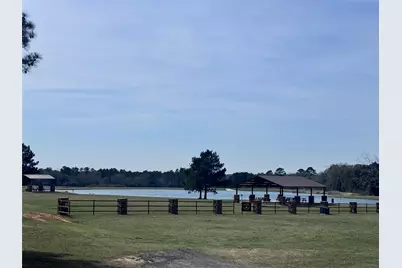 15576 Forest Grove Drive, Willis, TX 77378 - Photo 17