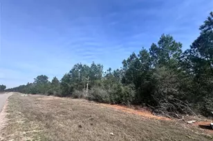 15576 Frst Grv Dr, Willis, TX 77378 - Photo 7