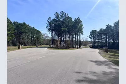 15576 Forest Grove Drive, Willis, TX 77378 - Photo 9