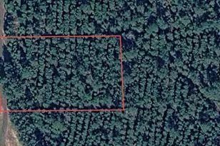 15576 Frst Grv Dr, Willis, TX 77378 - Photo 1