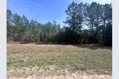 15576 Forest Grove Drive, Willis, TX 77378 - Photo 3