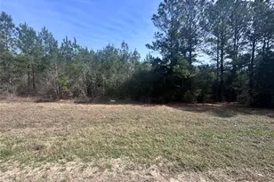 15576 Frst Grv Dr, Willis, TX 77378 - Photo 3