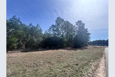 15576 Forest Grove Drive, Willis, TX 77378 - Photo 5