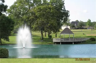 299 Wedgewood Dr, Montgomery, TX 77356 - Photo 39