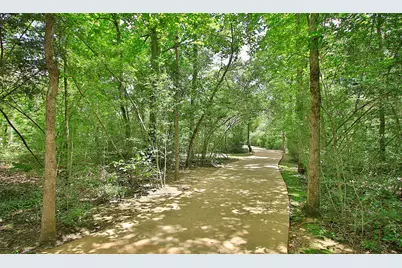 239 Warbler Song Drive, Willis, TX 77318 - Photo 21