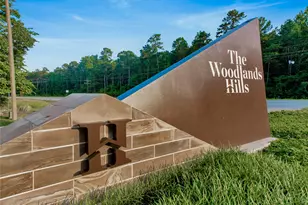 331 Silver Carp Trl, Conroe, TX 77318 - Photo 39