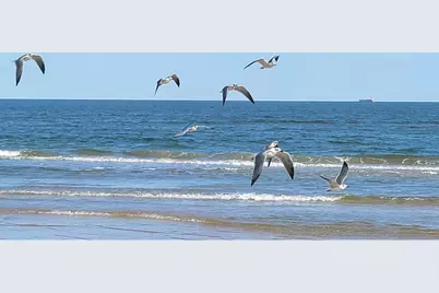 114 Sand Dune Court, Surfside Beach, TX 77541 - Photo 35