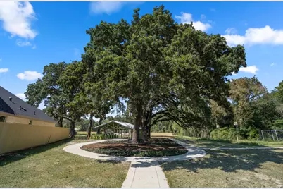 40621 Guillemont Lane, Magnolia, TX 77354 - Photo 19
