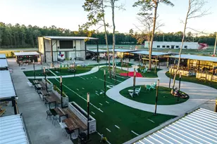 1003 Thor, New Caney, TX 77357 - Photo 43