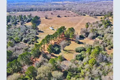 8311 Pr 1214, Centerville, TX 75833 - Photo 7