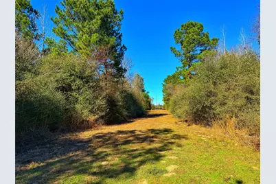 8311 Pr 1214, Centerville, TX 75833 - Photo 41