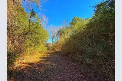 8311 Pr 1214, Centerville, TX 75833 - Photo 37