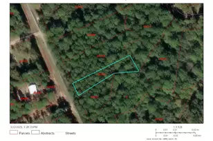 Lot 308 N/2 Lumbermans Rd, Onalaska, TX 77360 - Photo 1