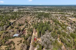 21150 Arnsworth Rd, Montgomery, TX 77356 - Photo 29