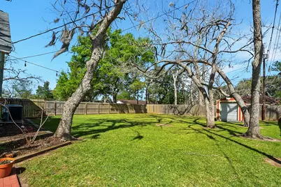 502 Tall Timber Drive, West Columbia, TX 77486 - Photo 33